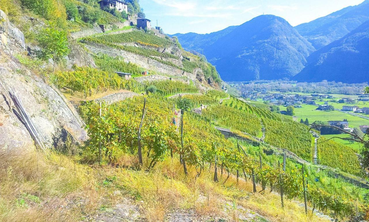 Pergolato Alpino P.Terra Apartment Teglio Bagian luar foto